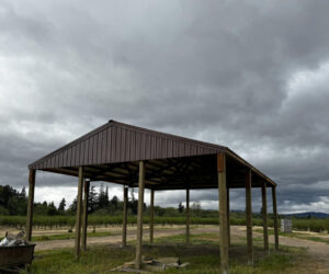Pole-Barn-Shelter-Roof-Only